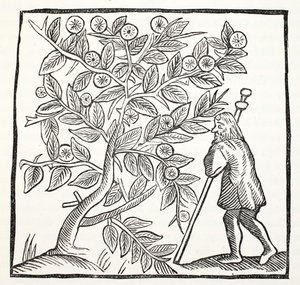 Joseph von Arimathäa und der Glastonbury-Dorn, Illustration aus Chap-books of the Eighteenth Century von John Ashton, veröffentlicht 1882 von English School