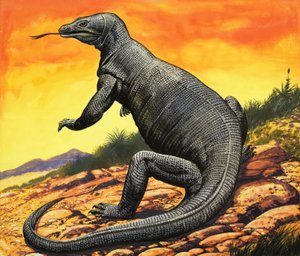 Komodowaran von English School
