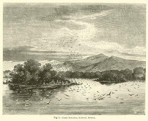 Ionangasee, Gabun, Afrika
