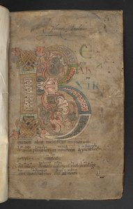 Großer Initial mit Tierkopf-Endstücken, Flechtwerk und Blattdekoration in Rosa, Orange, Gelb, Grün und Blau