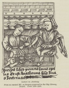 Vorlesung über Anatomie von English School