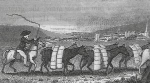 Leeds, Tuchhandel