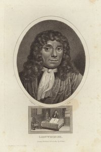 Leeuwenhoek
