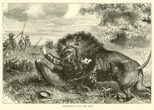 Livingstone und der Löwe