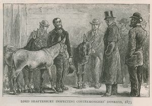 Lord Shaftesbury inspiziert die Esel der Straßenhändler