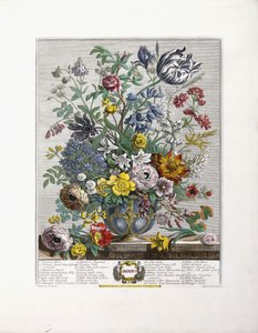 Mai, 1730 von English School