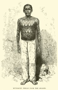 Mundrucu-Indianer vom Amazonas