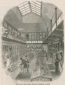 Museum in den Königlichen Botanischen Gärten, in Kew