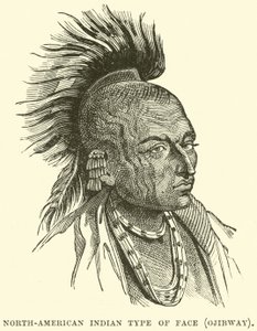 Nordamerikanischer Indianertyp, Ojibway