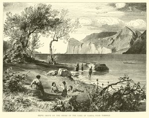 Olivenhain am Ufer des Gardasees, nahe Torbole