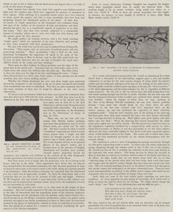 Unser naher Nachbar, Mars (Lithografie) von English School