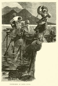 Austernbänke bei Santa Lucia von English School