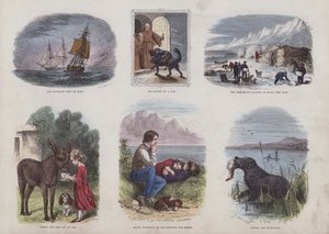 Seite aus dem Attraktiven Bilderbuch