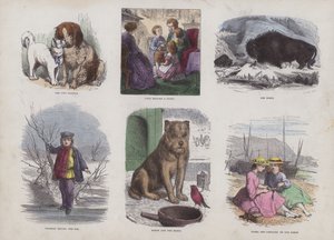 Seite aus dem attraktiven Bilderbuch (farbige Gravur)