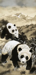 Pandas von English School