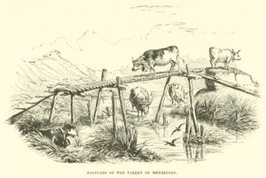 Weiden des Tals von Meyringen von English School