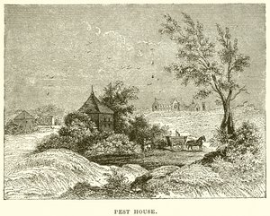 Pesthaus