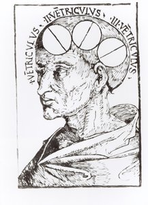 Phrenologie von English School