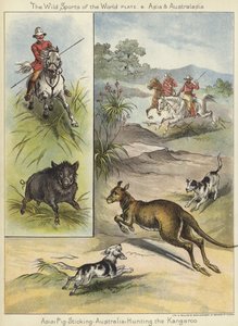 Schweinejagd und Kängurujagd