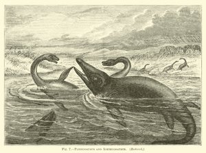 Plesiosaurus und Ichthyosaurus