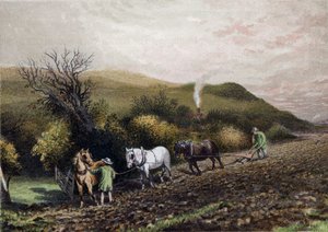 Pflügen