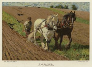 Pflügen von H. Wheelwright