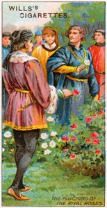 Das Pflücken der rivalisierenden Rosen