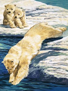 Eisbär und Junge
