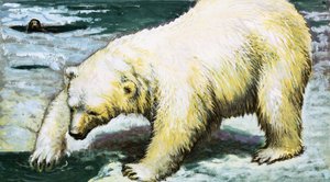Eisbär beim Fischen