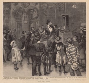 Praktische Lektionen in elementarer Wissenschaft in Whitechapel; Eine Ausstellung lebender Bienen