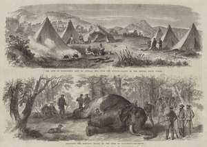 Prinz Arthur in Südafrika (Stich)