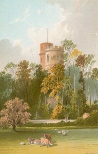 Prinzen Turm--Jersey