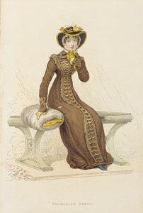 Promenadenkleid, Modeplatte aus Ackermanns Repository of Arts
