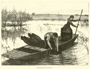 Grig-Weels setzen