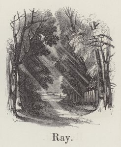 Strahl von English School
