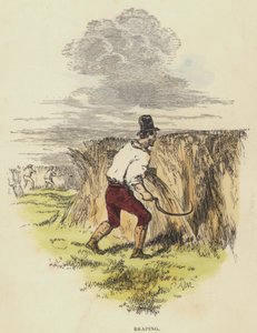 Ernte