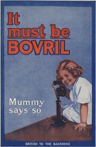Rückseite des Bovril-Handbuchs und Kriegstagebuchs