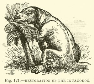 Rekonstruktion des Iguanodon von English School