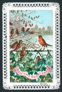 Rotkehlchen singt auf einem Ast, Weihnachtskarte