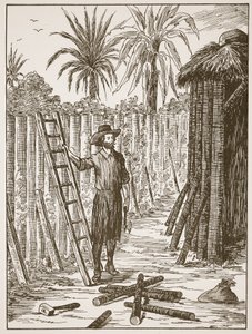 Robinson Crusoe baut seine Laube, Illustration aus Die Geschichte von Robinson Crusoe: Eine Adaption für Kinder nach Defoes Sprache, veröffentlicht von Griffith Farran Browne & Co. Limited, London von English School