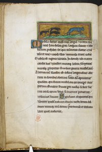 Mäuse jagen eine Katze, aus Bestiarium (ff. 3-141), Lapidarium (ff. 141v-149), 2. Viertel des 13. Jahrhunderts