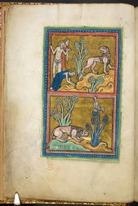 Royal 12 F.XIII, f.5v Oben: drei Männer, von denen einer sich vor einem Löwen verbeugt; unten: ein Löwe kauert am Fuße eines Baumes, mit einem Hahn, der oben sitzt. aus Bestiarium (ff. 3-141), Lapidarium (ff. 141v-149), 2. Viertel des 13. Jahrhunderts