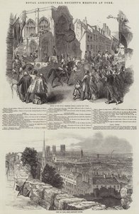 Treffen der Royal Agricultural Society in York (Stich) von English School