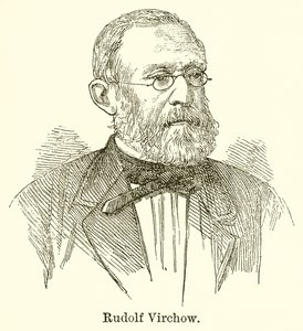 Rudolf Virchow von English School