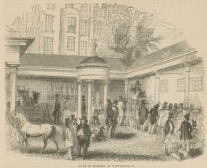 Pferdeverkauf bei Tattersalls von English School