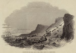 Seelöwenjagd vor Callao, Küste von Peru (Gravur) von English School