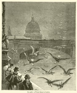 Möwen, eine Winterszene in London (Gravur)