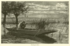 Einen Otter schießen von English School