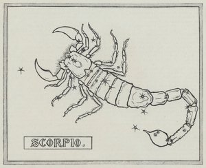 Sternzeichen: Skorpion (Gravur) von English School