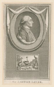 Sir Ashton Lever von English School